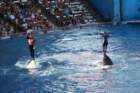 seaworldday13089_small.jpg