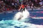 seaworldday13091_small.jpg