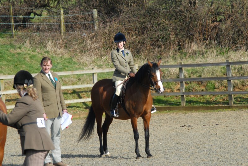 Winter Woollies Show 027 winterwoolliesshow027.jpg