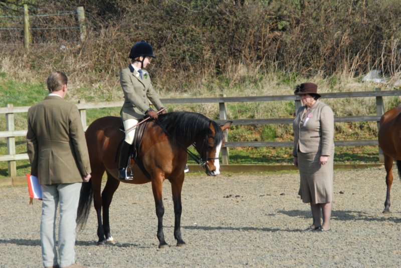 Winter Woollies Show 028 winterwoolliesshow028.jpg