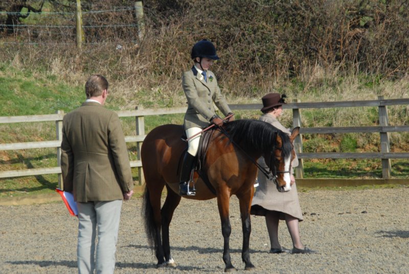Winter Woollies Show 029 winterwoolliesshow029.jpg