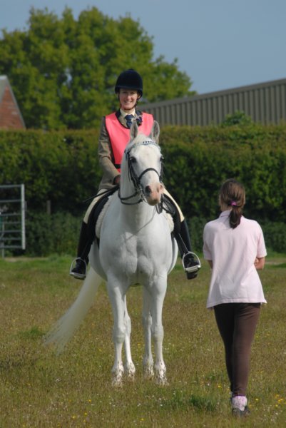 Welsh Pony & Cob Show 10th May 2009 014 welshponycobshow10thmay2009014.jpg