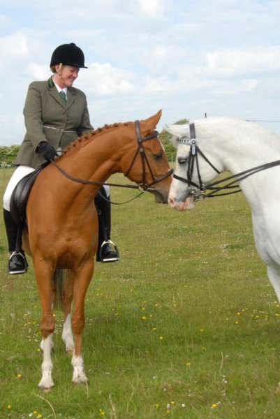 Welsh Pony & Cob Show 10th May 2009 027 welshponycobshow10thmay2009027.jpg