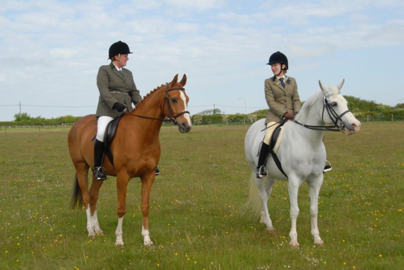 Welsh Pony & Cob Show 10th May 2009 029 welshponycobshow10thmay2009029.jpg