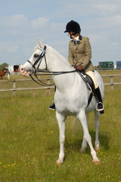 Welsh Pony & Cob Show 10th May 2009 031 welshponycobshow10thmay2009031.jpg