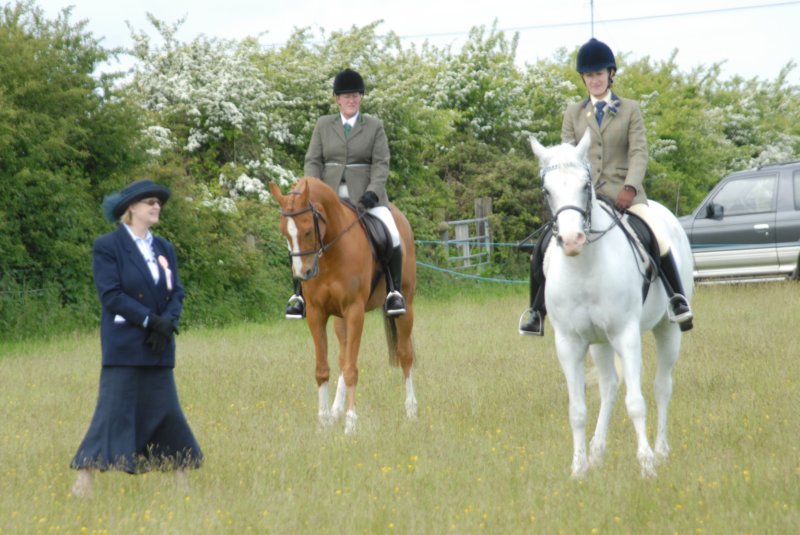 Welsh Pony & Cob Show 10th May 2009 037 welshponycobshow10thmay2009037.jpg
