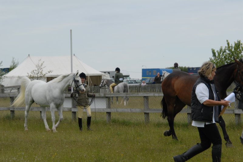 Welsh Pony & Cob Show 10th May 2009 041 welshponycobshow10thmay2009041.jpg