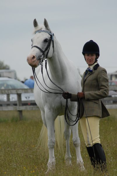 Welsh Pony & Cob Show 10th May 2009 046 welshponycobshow10thmay2009046.jpg