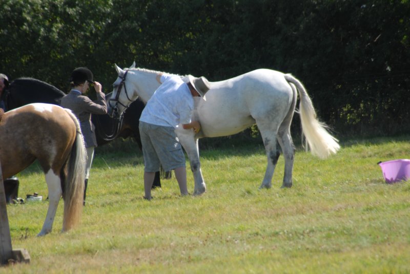 Hunt Show 23rd August 2009 007 huntshow23rdaugust2009007.jpg