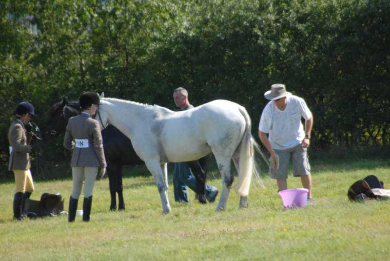 Hunt Show 23rd August 2009 009 huntshow23rdaugust2009009.jpg
