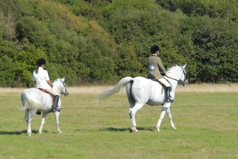 Hunt Show 23rd August 2009 015 huntshow23rdaugust2009015.jpg