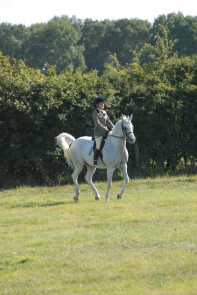 Hunt Show 23rd August 2009 018 huntshow23rdaugust2009018.jpg
