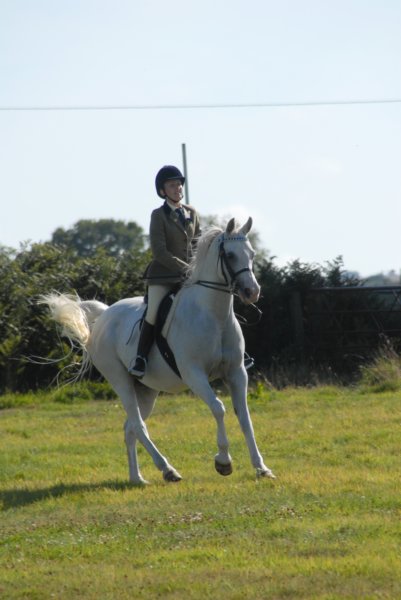 Hunt Show 23rd August 2009 019 huntshow23rdaugust2009019.jpg