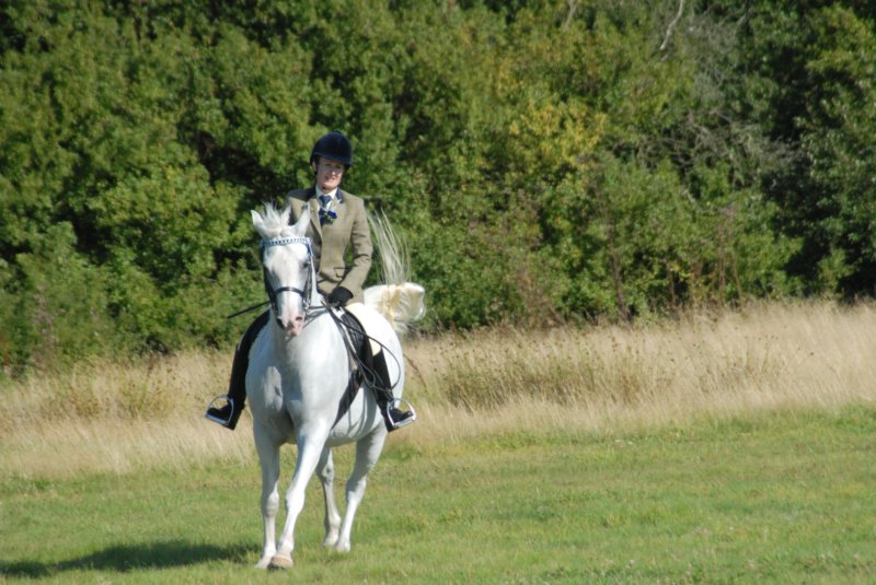 Hunt Show 23rd August 2009 024 huntshow23rdaugust2009024.jpg