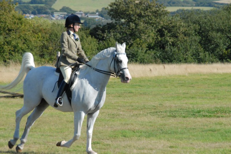 Hunt Show 23rd August 2009 026 huntshow23rdaugust2009026.jpg