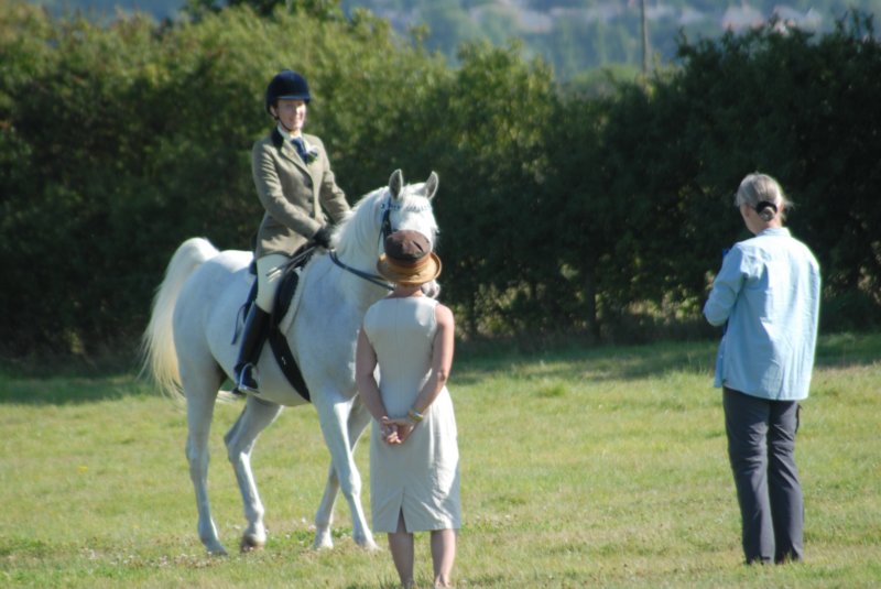 Hunt Show 23rd August 2009 027 huntshow23rdaugust2009027.jpg