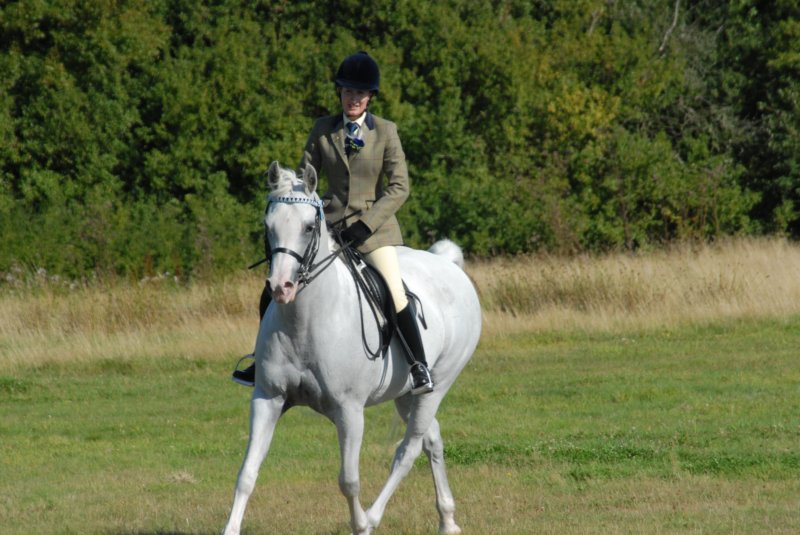Hunt Show 23rd August 2009 030 huntshow23rdaugust2009030.jpg