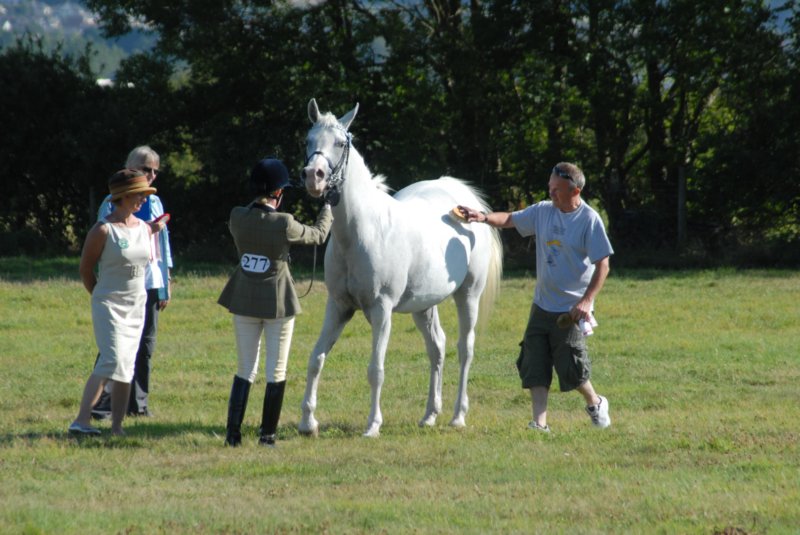 Hunt Show 23rd August 2009 035 huntshow23rdaugust2009035.jpg