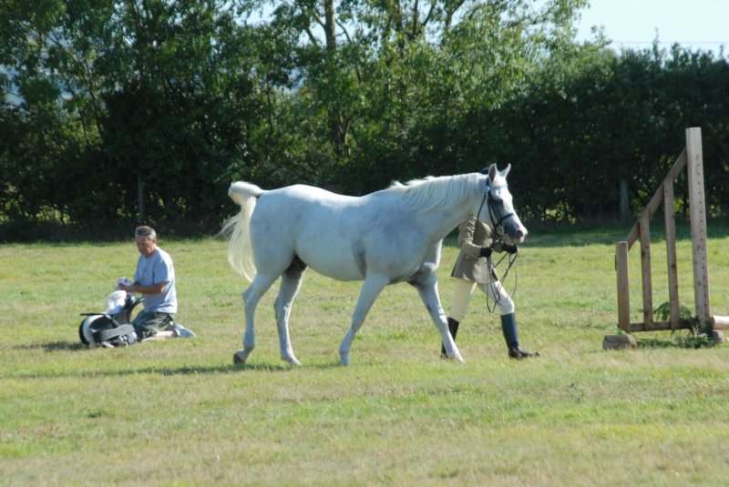 Hunt Show 23rd August 2009 036 huntshow23rdaugust2009036.jpg