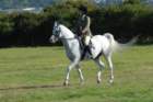huntshow23rdaugust2009043_small.jpg