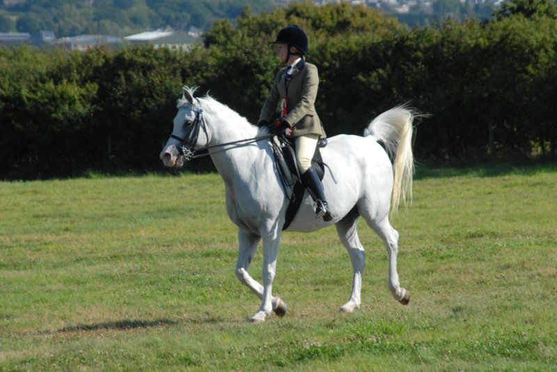 Hunt Show 23rd August 2009 044 huntshow23rdaugust2009044.jpg