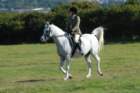 huntshow23rdaugust2009044_small.jpg