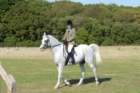 huntshow23rdaugust2009047_small.jpg