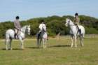 huntshow23rdaugust2009048_small.jpg