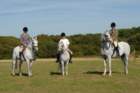 huntshow23rdaugust2009049_small.jpg