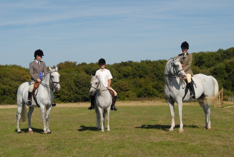 Hunt Show 23rd August 2009 050 huntshow23rdaugust2009050.jpg