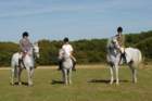 huntshow23rdaugust2009050_small.jpg