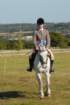 huntshow23rdaugust2009051_small.jpg