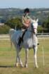 huntshow23rdaugust2009054_small.jpg
