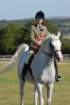 huntshow23rdaugust2009055_small.jpg
