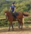 dassa6thsept2009001_small.jpg