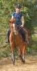 dassa6thsept2009002_small.jpg