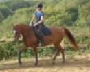 dassa6thsept2009004_small.jpg