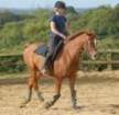 dassa6thsept2009006_small.jpg