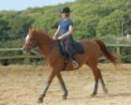 dassa6thsept2009007_small.jpg
