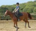 dassa6thsept2009008_small.jpg
