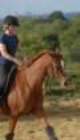 dassa6thsept2009009_small.jpg