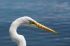 dsc03304_small.jpg