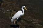 dsc03307_small.jpg