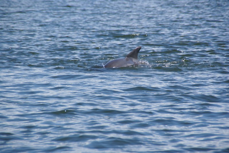DSC03537 dsc03537.jpg