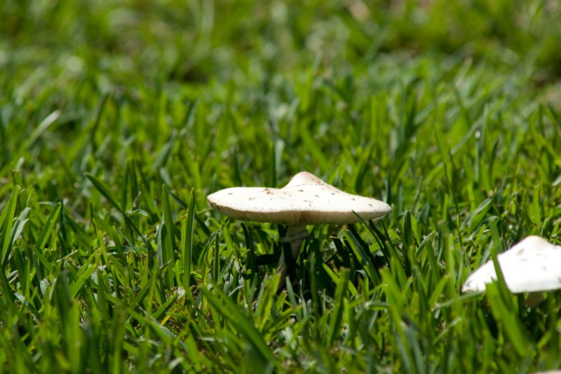 DSC03752 dsc03752.jpg