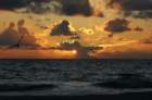 dsc03954_small.jpg