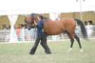 malvern_005_small.jpg