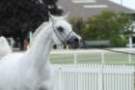 malvern_006_small.jpg