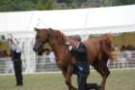 malvern_009_small.jpg