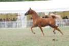 malvern_012_small.jpg